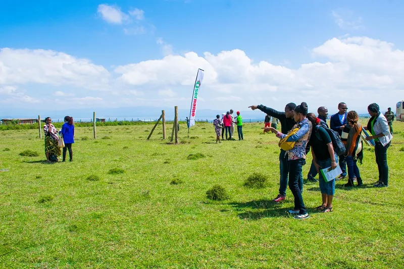 Key Investment Opportunities You Can Achieve In Nakuru