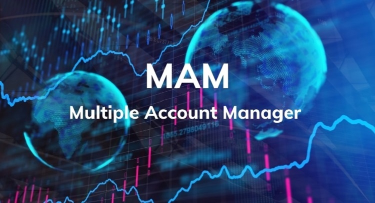 What is a MAM account? A detail you must know!