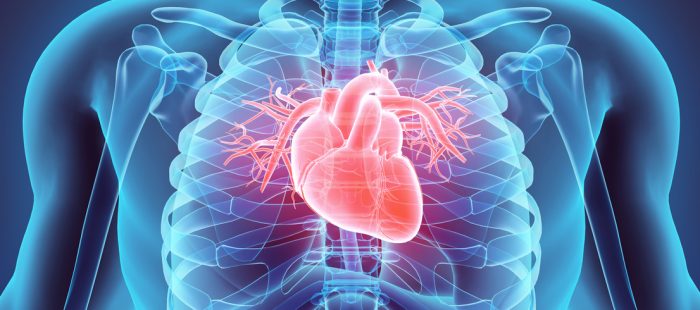 A Comprehensive Analysis of Shadow Health’s Cardiovascular System with Tina Jones