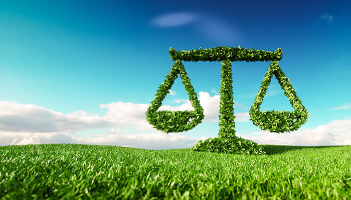 Environmental Law An Overview