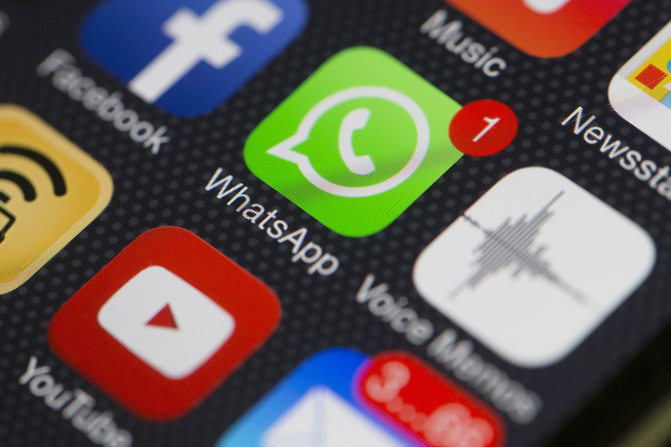 The Impact of Facebook, German WhatsApp, and Matussek Bloomberg on the Digital Landscape