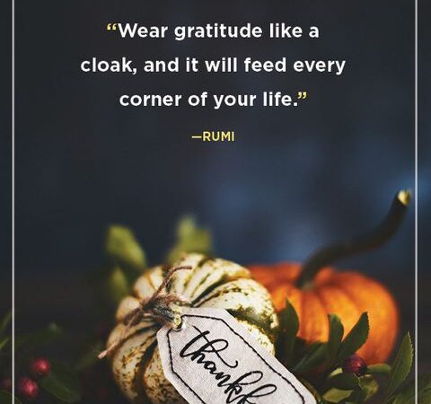Thanksgiving Quotes Photos Pictures: Capturing the Essence of Gratitude