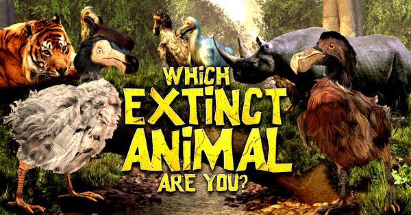 Which Animal Am I Most Like Test: Discovering Your Inner Creature