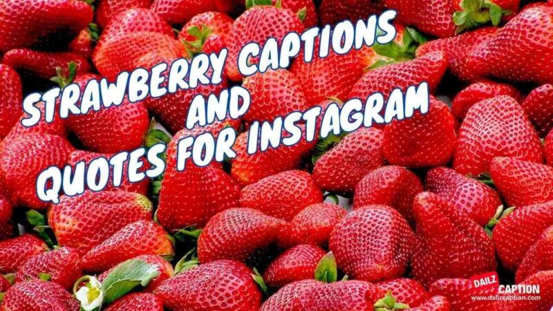 Strawberry Quotes